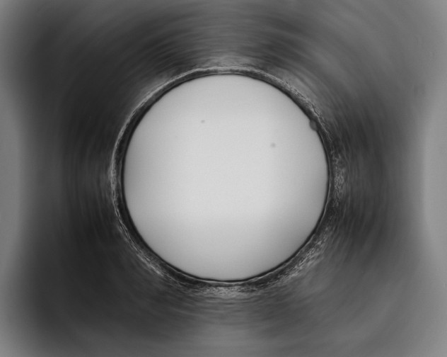 X0000092240990200710121233