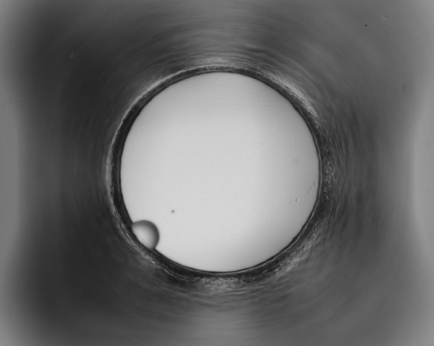 X0000092240991200710121233