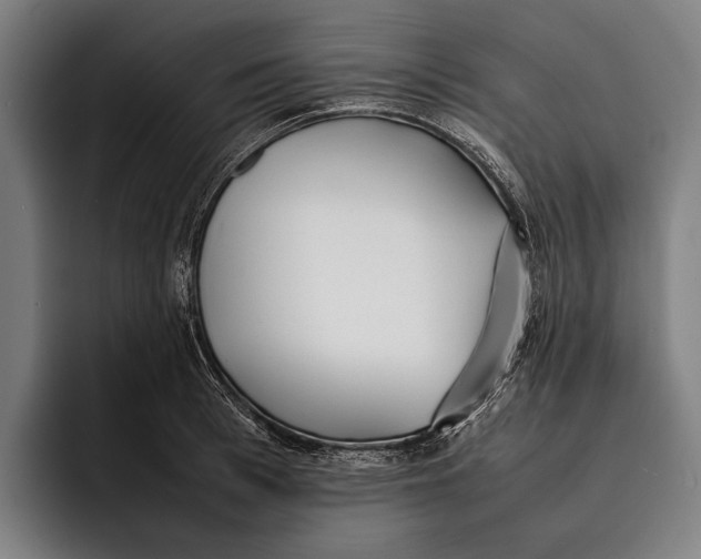 X0000092240993200710121233
