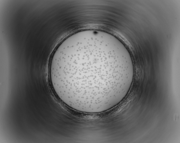 X0000092240994200710121233