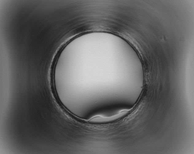 X0000092240995200710121233