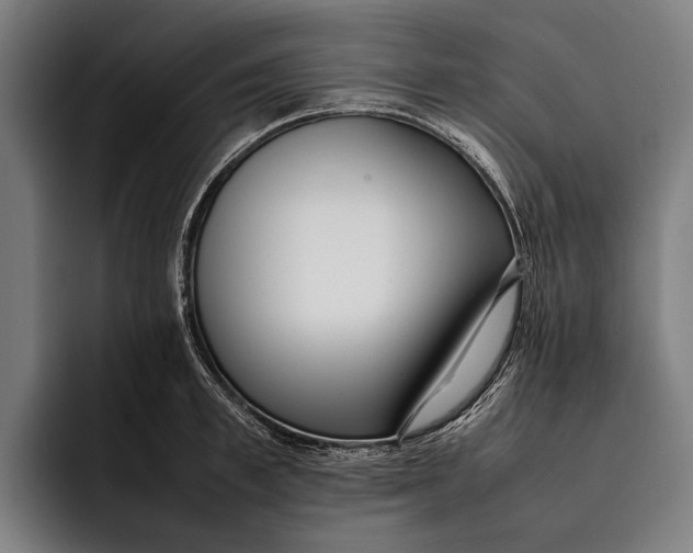 X0000092240997200710121233