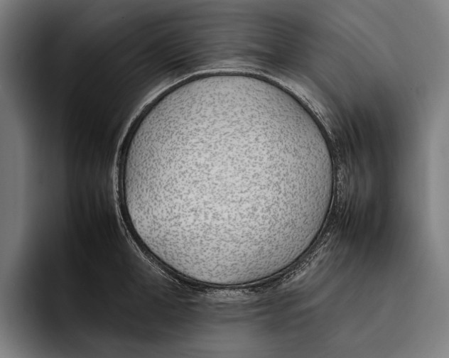 X0000092240998200710121233