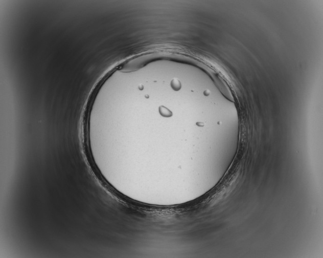 X0000092240999200710121233