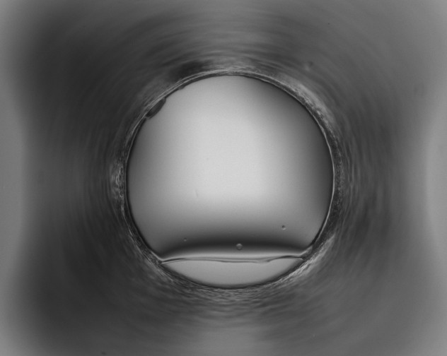 X0000092241001200710121233