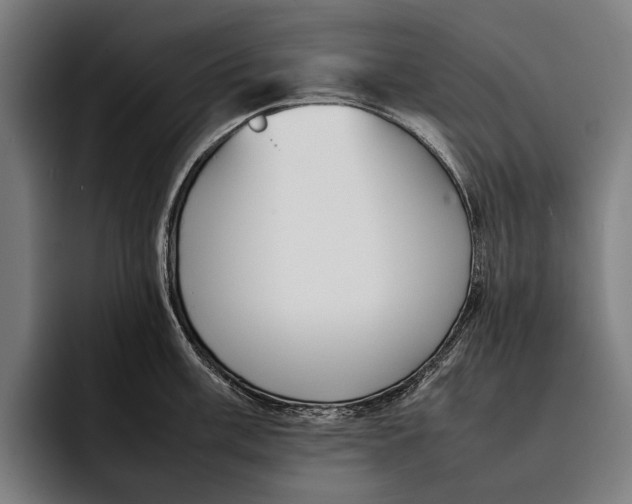 X0000092241003200710121233
