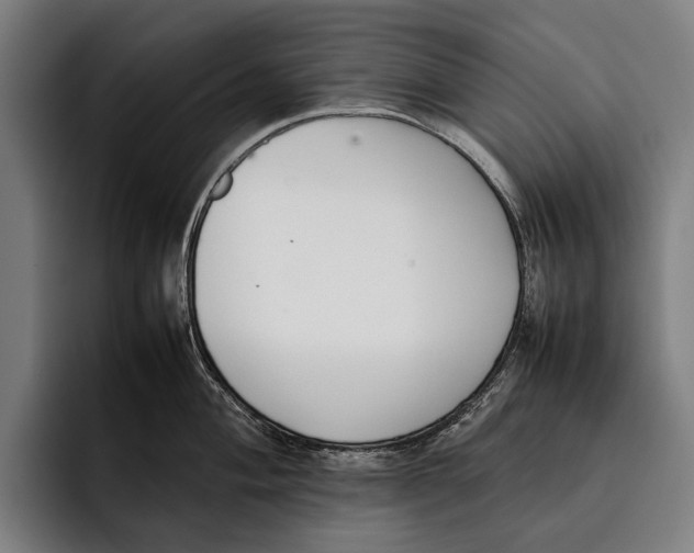 X0000092241004200710121233