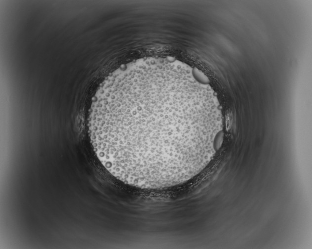 X0000092241011200710121233