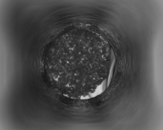 X0000092241013200710121233