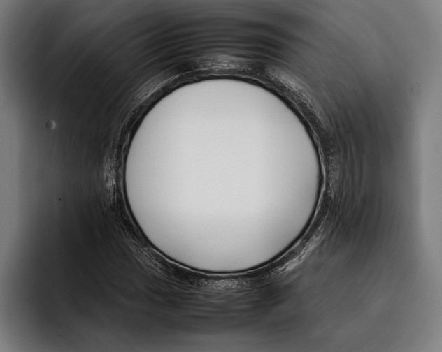 X0000092241017200710121233