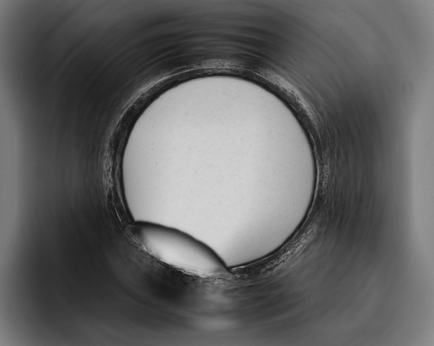 X0000092241019200710121233