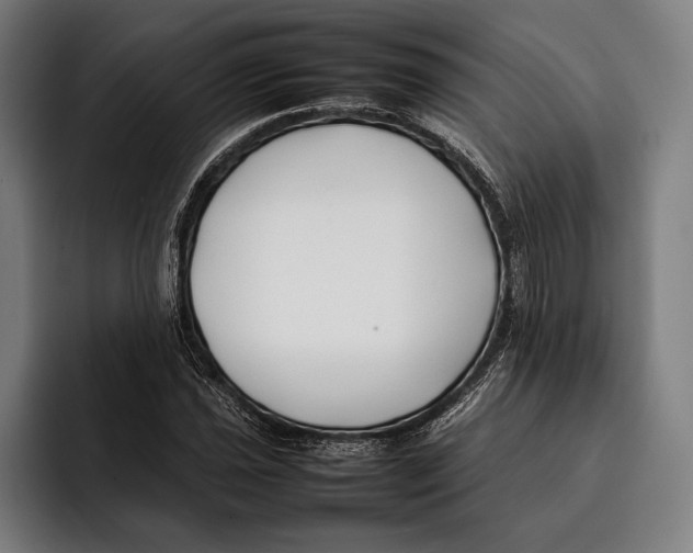 X0000092241021200710121233