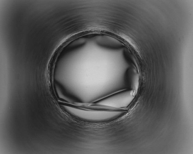 X0000092241022200710121233