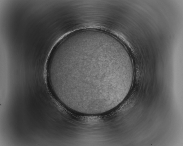 X0000092241024200710121233