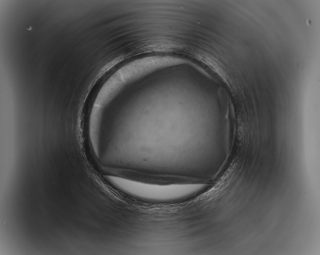 X0000092241026200710121233