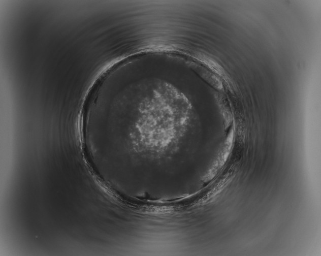 X0000092241030200710121233