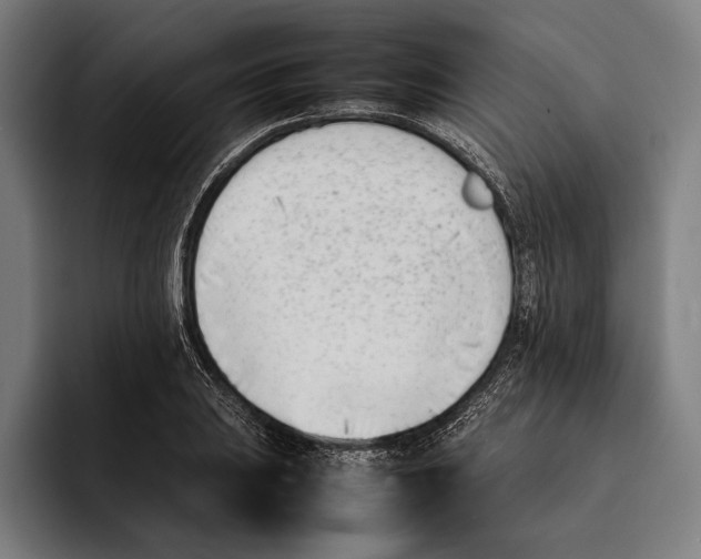 X0000092241031200710121233