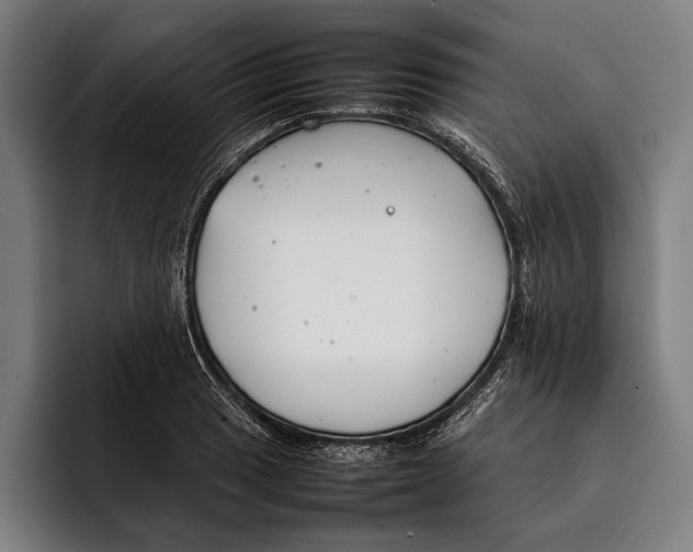 X0000092241033200710121233