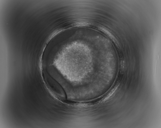 X0000092241034200710121233