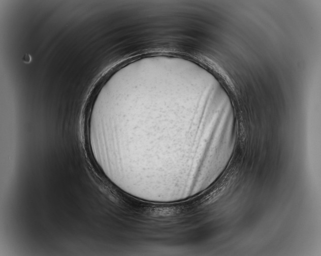X0000092241035200710121233