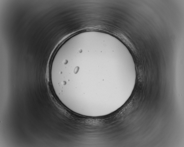 X0000092241036200710121233