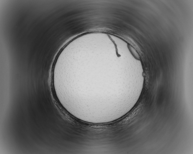 X0000092241044200710121233