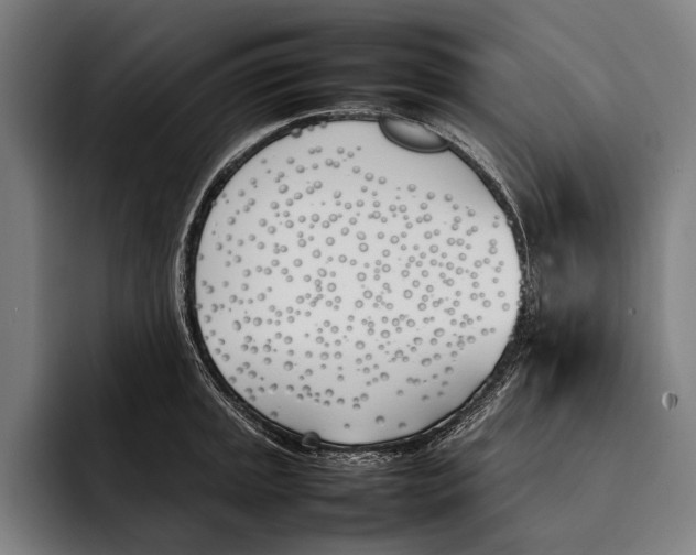 X0000092241045200710121233