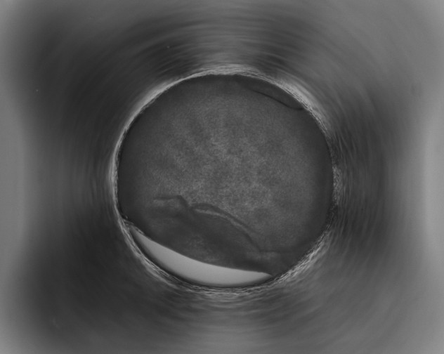 X0000092241046200710121233