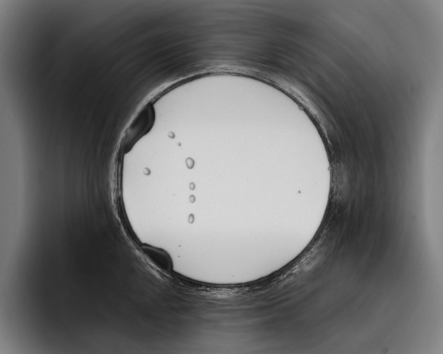 X0000092241048200710121233