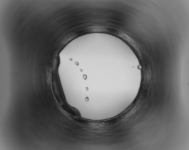 X0000092241049200710121233