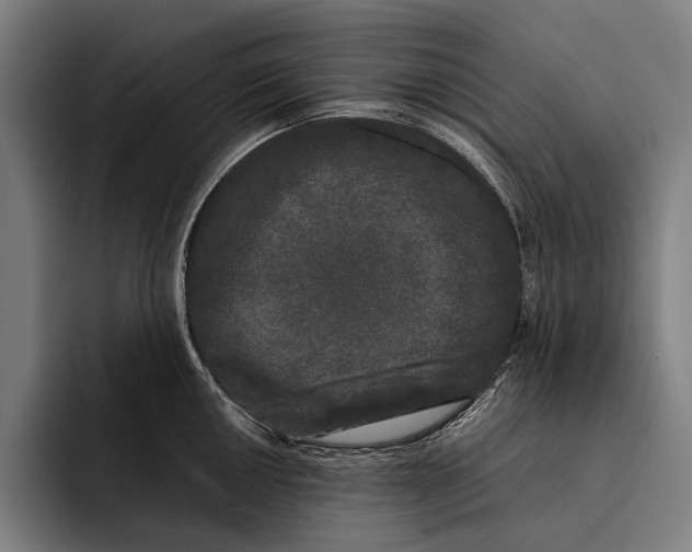 X0000092241050200710121233