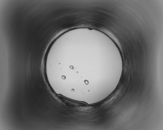 X0000092241053200710121233