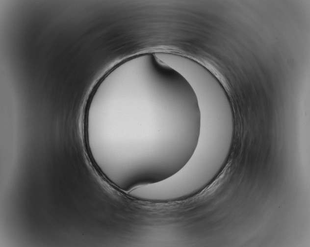 X0000092241054200710121233
