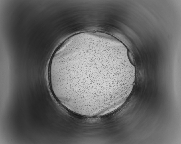X0000092241055200710121233