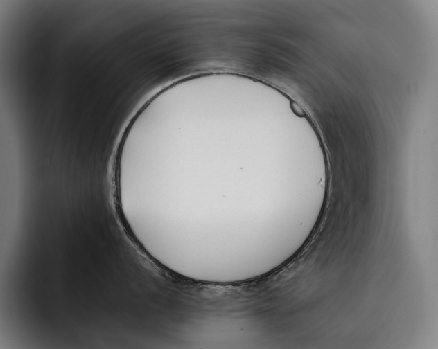 X0000092241056200710121233