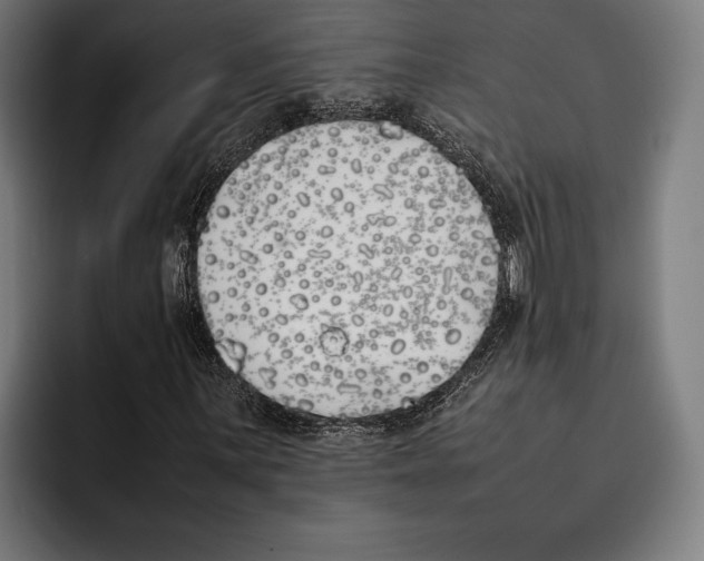 X0000092241059200710121232