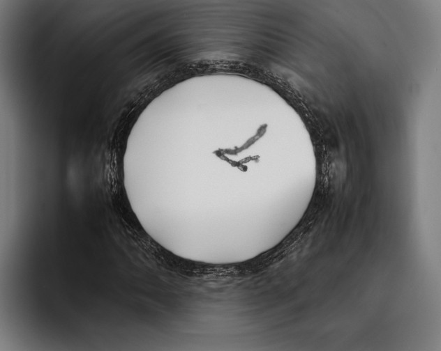 X0000092241062200710121232