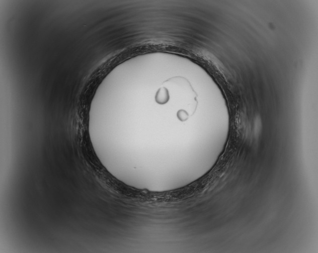 X0000092241064200710121232