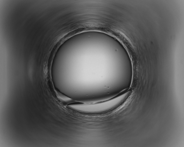 X0000092241065200710121232