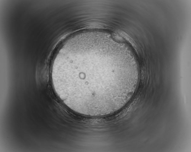 X0000092241067200710121232