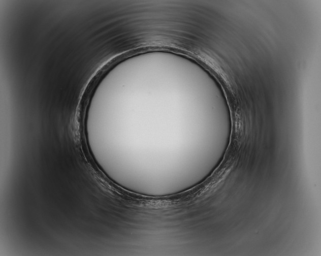 X0000092241068200710121232
