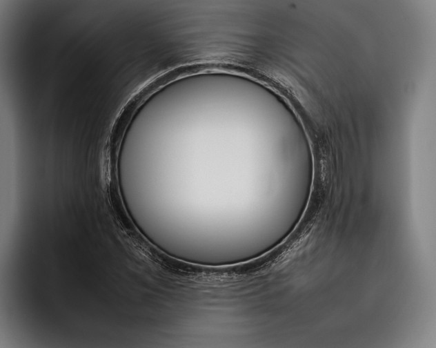 X0000092241069200710121232