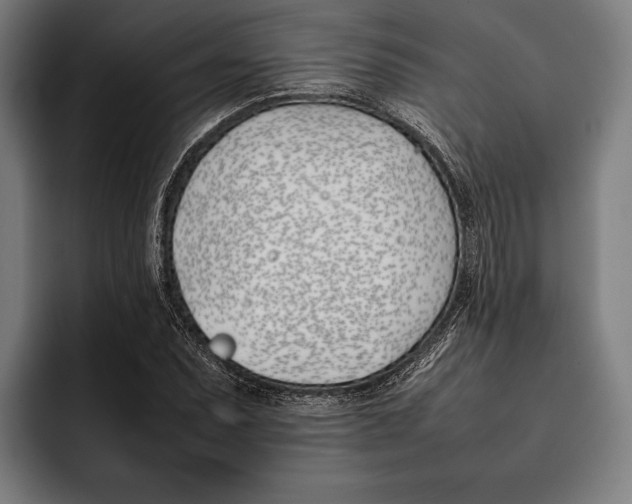 X0000092241071200710121232
