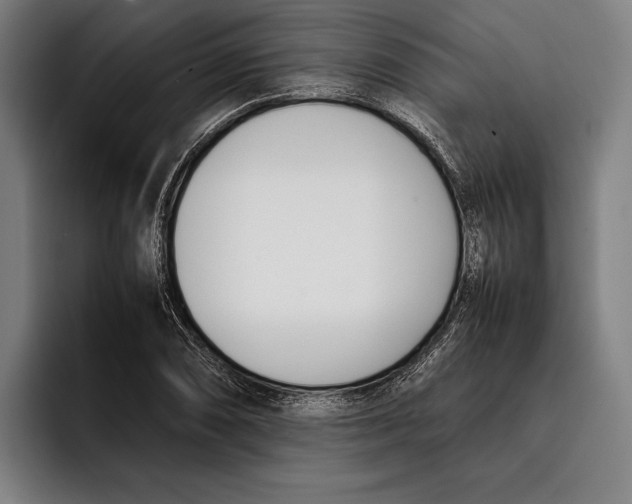 X0000092241074200710121232