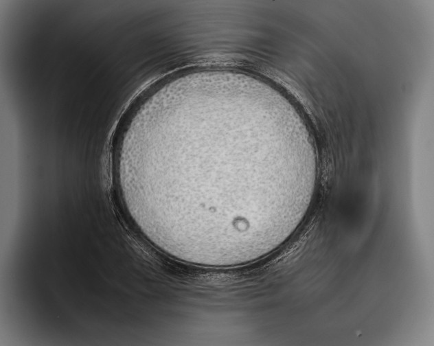 X0000092241075200710121232