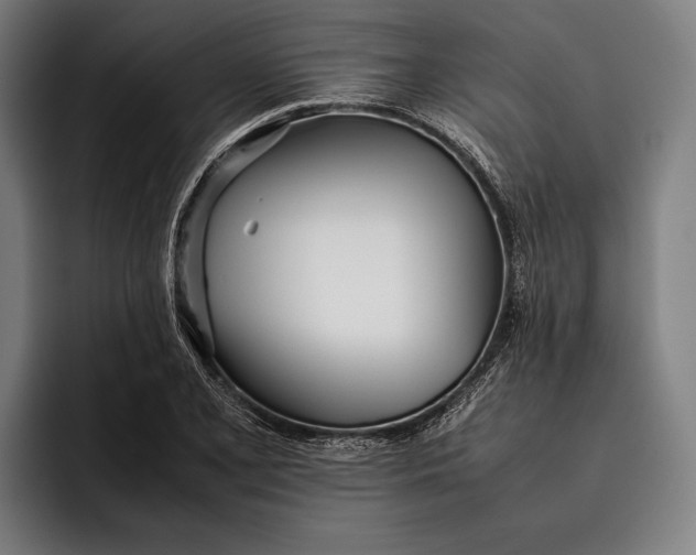 X0000092241077200710121232