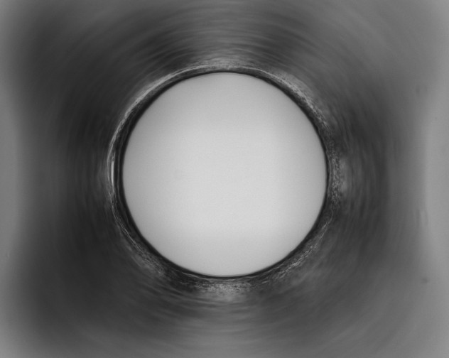 X0000092241078200710121232
