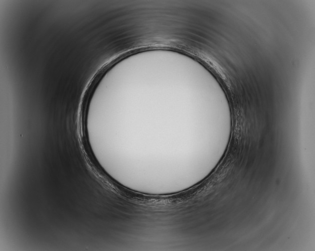X0000092241080200710121232