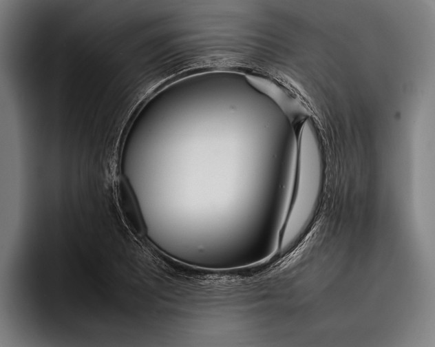 X0000092241081200710121232