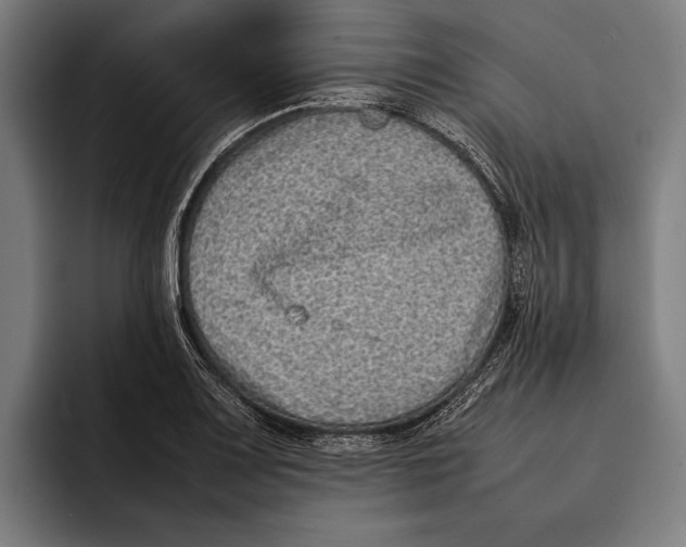 X0000092241083200710121232